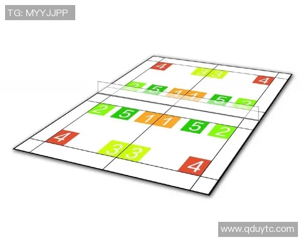 上海羽毛球队战术分析与未来发展方向探讨